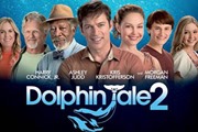 סיפורו של דולפין 2 - תקציר